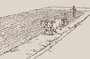 Le transport terrestre