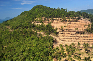 À la découverte de la plus grande jungle du Monde !