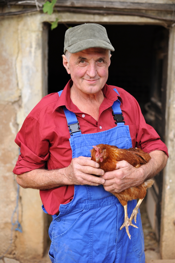Bienvenue à la ferme !