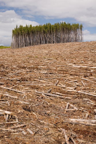 De petits gestes pour préserver l’environnement